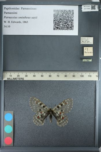 Media type: image;   Entomology 173945